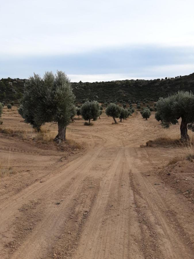 Campo Golden Heritage Maella Екстериор снимка